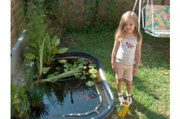 Ungaria Privát Harkány, Exteriorul